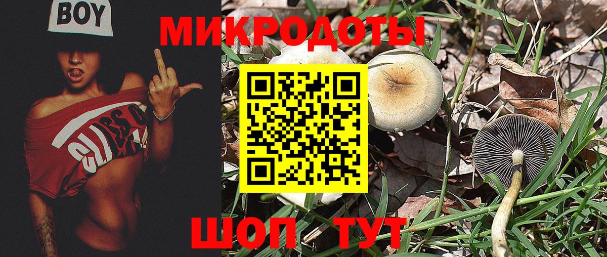 Галлюциногенные грибы прущие грибы Чита