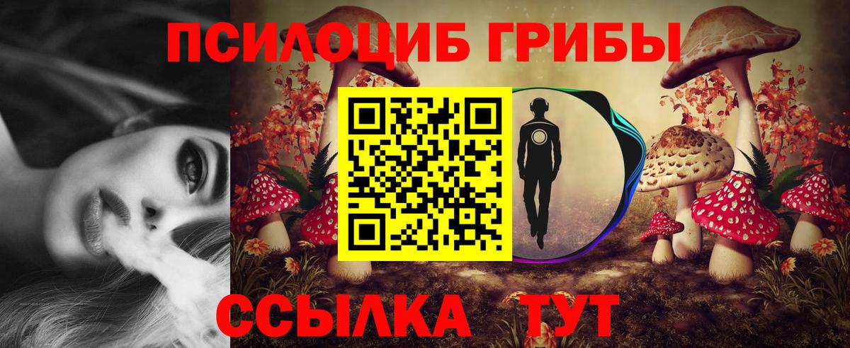 Чита  Галлюциногенные грибы Psilocybe  Галлюциногенные грибы ЛСД  Вход с VPN 